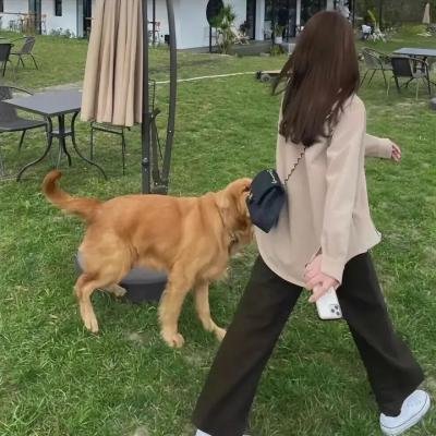 老友记第九季